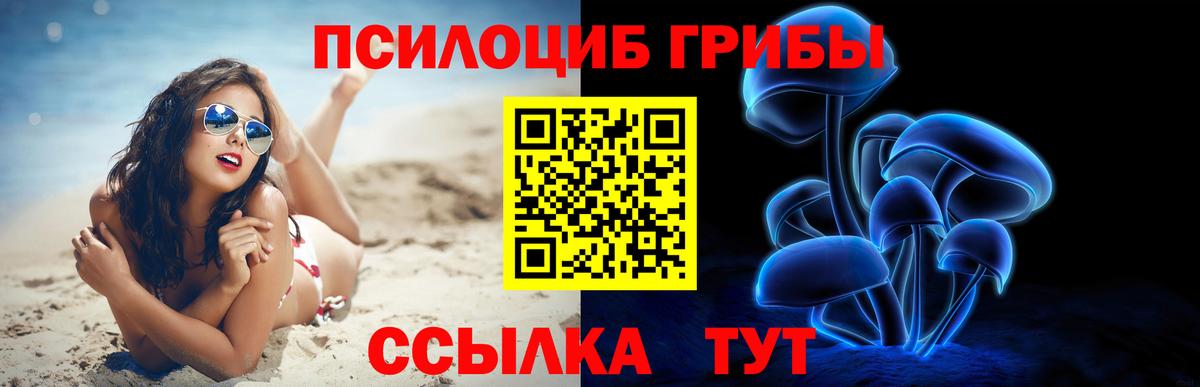 Псилоцибиновые грибы ЛСД  Вход с VPN  Владимир 